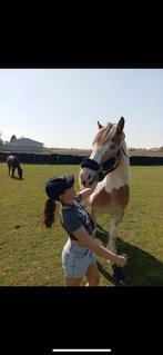 Bonte merrie 5j die alles kan, Dieren en Toebehoren, Pony's, Merrie, 3 tot 6 jaar, L, Recreatiepony