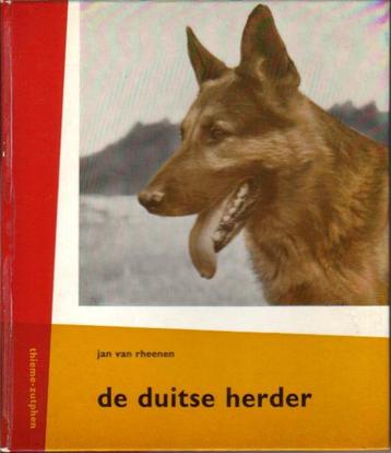 (d40) De Duitse Herder beschikbaar voor biedingen