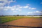 Rubberen afrasteringsband,  omheining paddock/ rijpiste