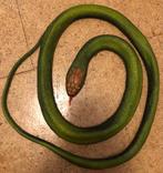 Speeltje met slangen, Ophalen, Zo goed als nieuw