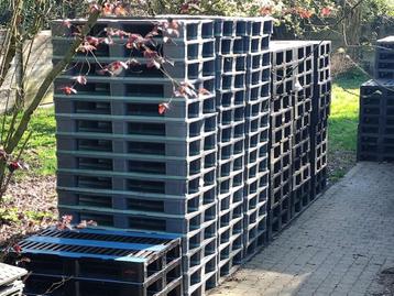 Kunststof plastiek pvc paletten beschikbaar voor biedingen