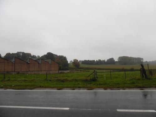 Prairie avec Abri/Fenil à louer (> 1 ha), location à l'année, Dieren en Toebehoren, Stalling en Weidegang, Weidegang, 2 of 3 paarden of pony's