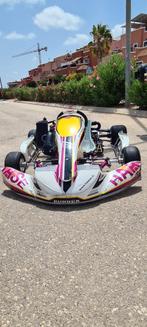 Rollend chassis haase corsa zenit ch20., Ophalen, Zo goed als nieuw, Kart