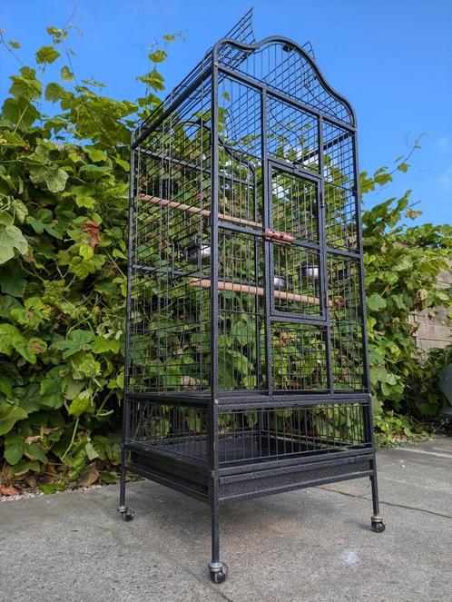 papegaaienkooi Deluxe - 160, Dieren en Toebehoren, Vogels | Hokken en Kooien, Nieuw, Vogelkooi, Metaal, Ophalen of Verzenden