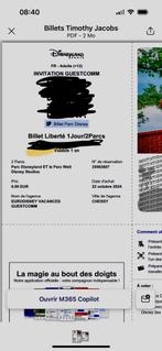 2 tickets libertes 1 jour 2 parcs, Tickets en Kaartjes