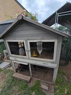 Groot Kippenhok konijnenhok met ren, Dieren en Toebehoren, Ophalen, Zo goed als nieuw, Hok, Konijn