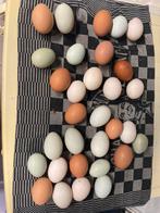 Verse eieren van scharrelkippen- 2 eur/6 stuks