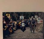 foto RRV 2006 MUUR Geraardsbergen, Verzamelen, Ophalen, Nieuw, Overige onderwerpen, Foto