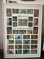 Kader met poster, Ophalen, Kunststof, Gebruikt, 75 cm of meer