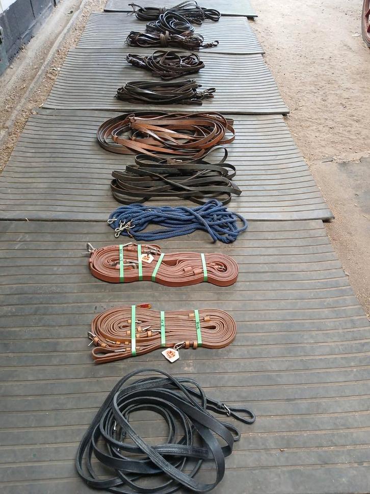 Leidsels (enkel-/dubbel-/4-span), Dieren en Toebehoren, Paarden en Pony's | Hoofdstellen en Tuigage, Gebruikt, Ophalen of Verzenden