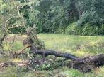 Gratis brandhout, Ophalen, Gebruikt