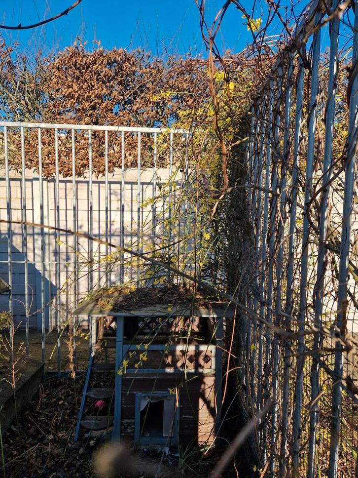 Gegalvaniseerde hondenren 200x300 cm, zelf uit te breken, Dieren en Toebehoren, Hondenhokken, Gebruikt, Hondenhok, 100 cm of meer