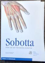 Anatomie boeken Sobotta 4 de druk, Comme neuf, Bohn Stafleu van Loghum, Enlèvement, Enseignement supérieur