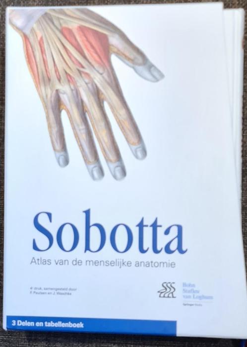 Anatomie boeken Sobotta 4 de druk, Boeken, Studieboeken en Cursussen, Zo goed als nieuw, Hoger Onderwijs, Ophalen