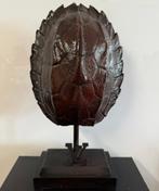 handgemaakt schildpad sculptuur louis vuitton stijl, Antiek en Kunst, Ophalen of Verzenden
