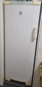 Diepvriezer staand model, Elektronische apparatuur, Vriezers en Diepvrieskisten, Gebruikt, 140 tot 160 cm, Ophalen, Vrieskast