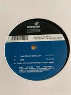 Robert Babicz - Pingpong In Moonlight, Cd's en Dvd's, Vinyl | Dance en House, Ophalen of Verzenden, Zo goed als nieuw