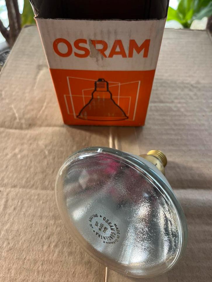 Osram warmte lamp gloeilamp floodlight 150w, Fietsen en Brommers, Fietsaccessoires | Fietsverlichting, Nieuw, Ophalen of Verzenden