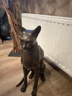 Bronzen kat, Ophalen