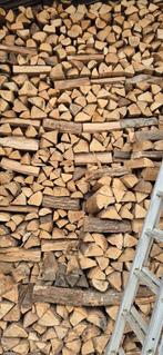 Brandhout (regio Affligem), Tuin en Terras, Verzenden, Beukenhout, Blokken