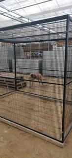 voliere kooi voor papegaai ara kanarie 2 op 3 meter, Ophalen of Verzenden, Nieuw, Metaal, Volière