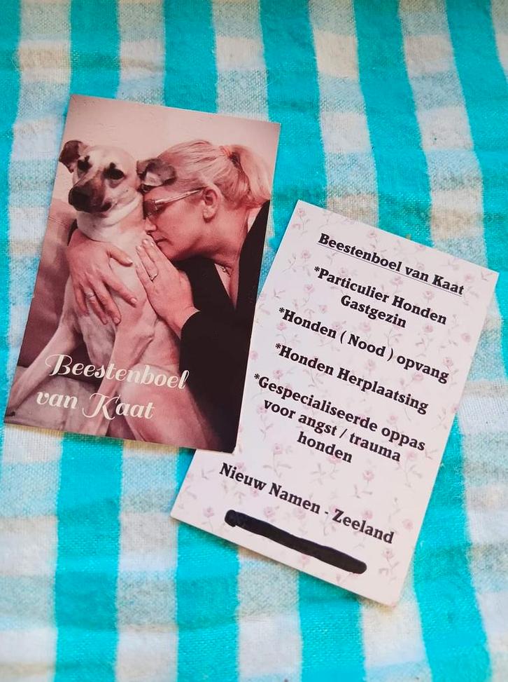 Ervaren hondenoppas aangeboden
Omgeving Hulst / Kieldrecht, Dieren en Toebehoren, Dierenvoeding, Ophalen