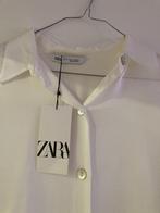 dames hemd Zara, Vêtements | Femmes, Blouses & Tuniques, Zara, Taille 38/40 (M), Enlèvement, Blanc