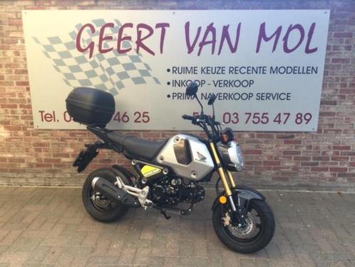 Honda MSX 125, 2023, 1945 km, Motoren, Motoren | Honda, Bedrijf, Naked bike, 11 kW of minder, 1 cilinder, Ophalen