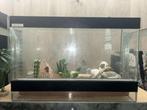 Terrarium, Dieren en Toebehoren, Ophalen, Gebruikt, Terrarium of Paludarium