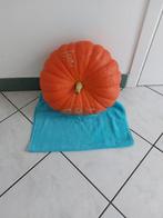 pompoen, Diversen, Ophalen