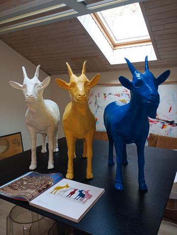Cloned goat Beaufort 2003 sweetlove William  beschikbaar voor biedingen