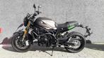 Benelli Leoncino 800, Naked bike, 2 cylindres, Plus de 35 kW, Benelli