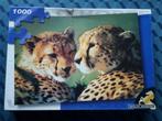 Puzzel, Jachtluipaarden, 1000 stukken, 68 x 44 cm, compleet, Ophalen of Verzenden, 500 t/m 1500 stukjes, Zo goed als nieuw, Legpuzzel