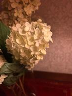 Vazen met hortensia bloemen, Ophalen, Glas