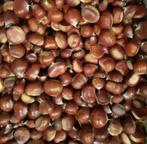 Veel tamme kastanjes te rapen te Destelbergen, Diversen, Ophalen