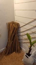 Bamboe stokken / takken met clipjes, Ophalen