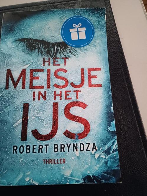 Het meisje in het ijs - Robert Bryndza, Boeken, Thrillers, Zo goed als nieuw, Europa overig, Ophalen