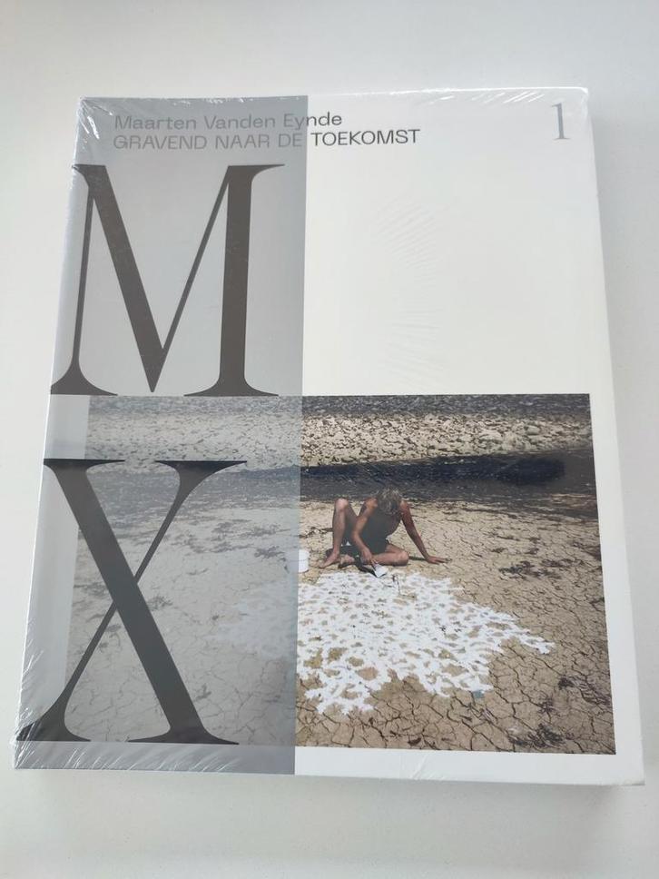 Maarten Vanden Eynde (originele verpakking), Antiek en Kunst, Kunst | Overige Kunst, Ophalen of Verzenden