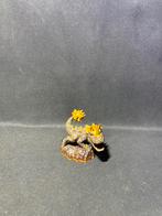 Skylanders Giants Bash, Enlèvement ou Envoi, Comme neuf