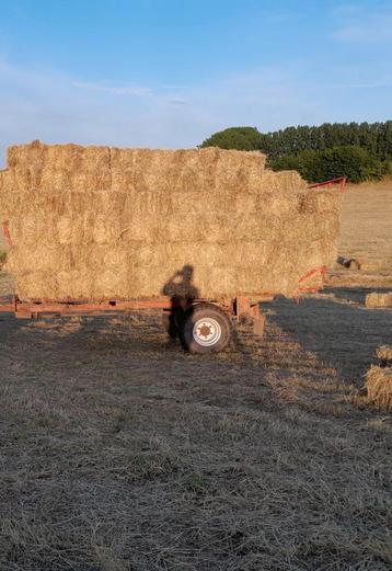 Hooi kleine balen beschikbaar voor biedingen