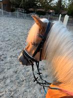 Verzorger gezocht voor pony, Merrie