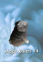 Verschillende honden en katten kaarsen, Ophalen, Zo goed als nieuw, Kaars