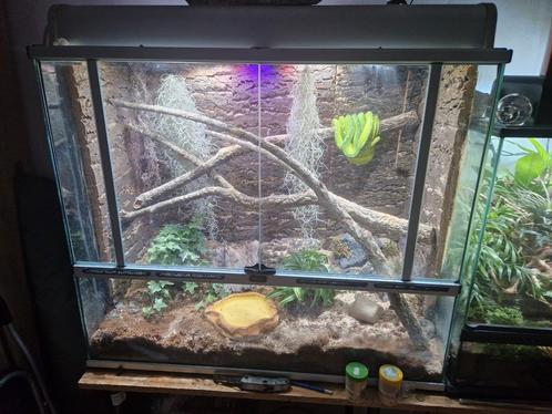 Terrarium terratlantis 87x45x70, Animaux & Accessoires, Reptiles & Amphibiens | Accessoires, Comme neuf, Enlèvement ou Envoi