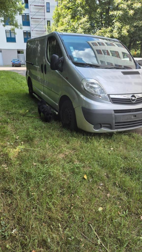 Opel vivaro 2.0diesel, Auto's, Opel, Particulier, Ophalen