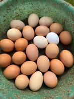 Te koop verse eieren, Dieren en Toebehoren