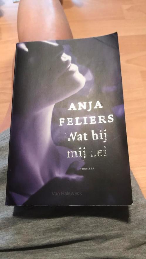 Anja Feliers - Wat hij mij zei, Livres, Thrillers, Comme neuf, Enlèvement ou Envoi