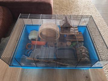 Hamsterkooi 70 x 50 cm + toebehoren - Nieuwstaat beschikbaar voor biedingen