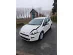 Fiat Punto 2017, Autos, Fiat, Achat, Entreprise, Autre carrosserie, Punto