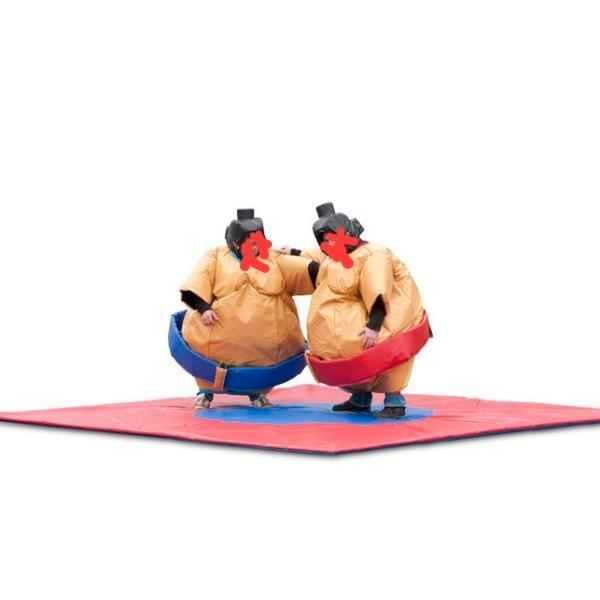 Sumo set voor kids, Hobby en Vrije tijd, Feestartikelen, Zo goed als nieuw, Ophalen