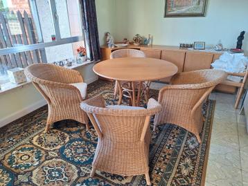 Rotan veranda set beschikbaar voor biedingen
